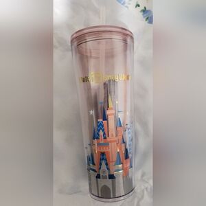 2024 Disney Starbucks Walt Disney World 4 Parks Castle Epcot Kingdom Tumbler NEW